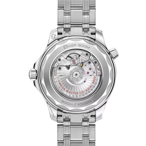 Seamaster Diver 300M - Mestre do Mar
