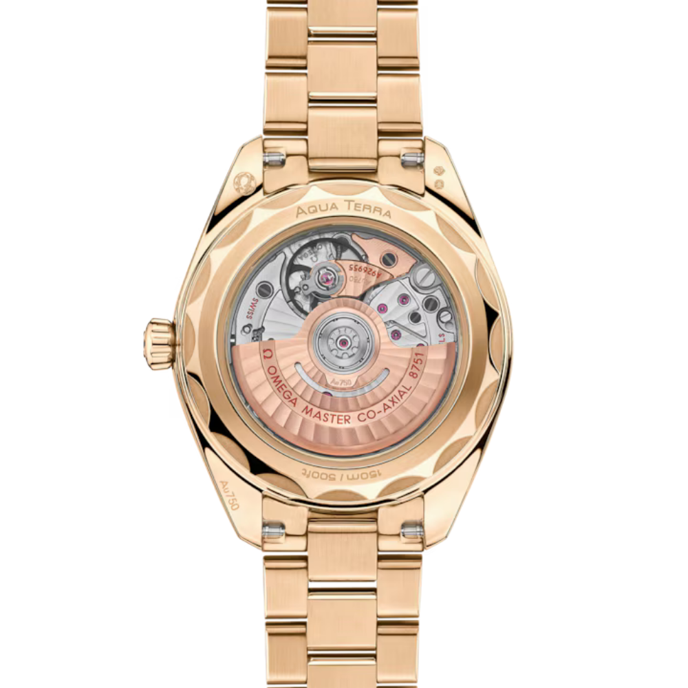 Seamaster Aqua Terra 150M