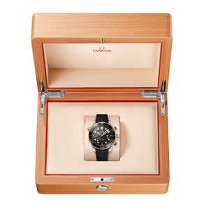Seamaster Diver 300M - Chronograph