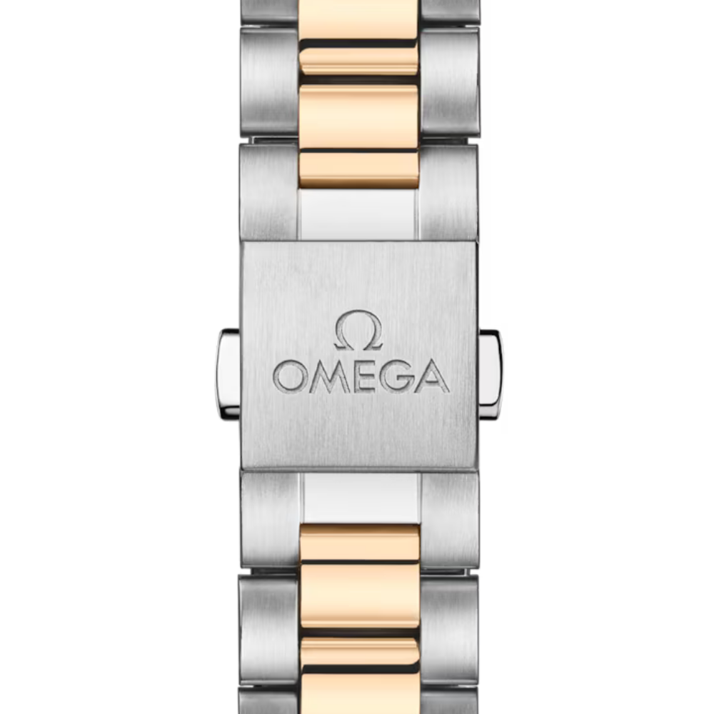 Seamaster Aqua Terra 150M