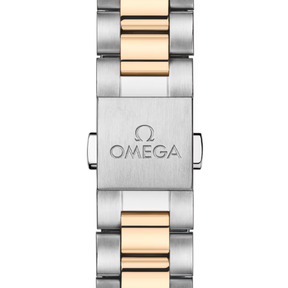 Seamaster Aqua Terra 150M